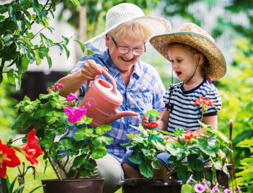 Spring Into Connection: Meaningful Activities Seniors Can Enjoy with Loved Ones